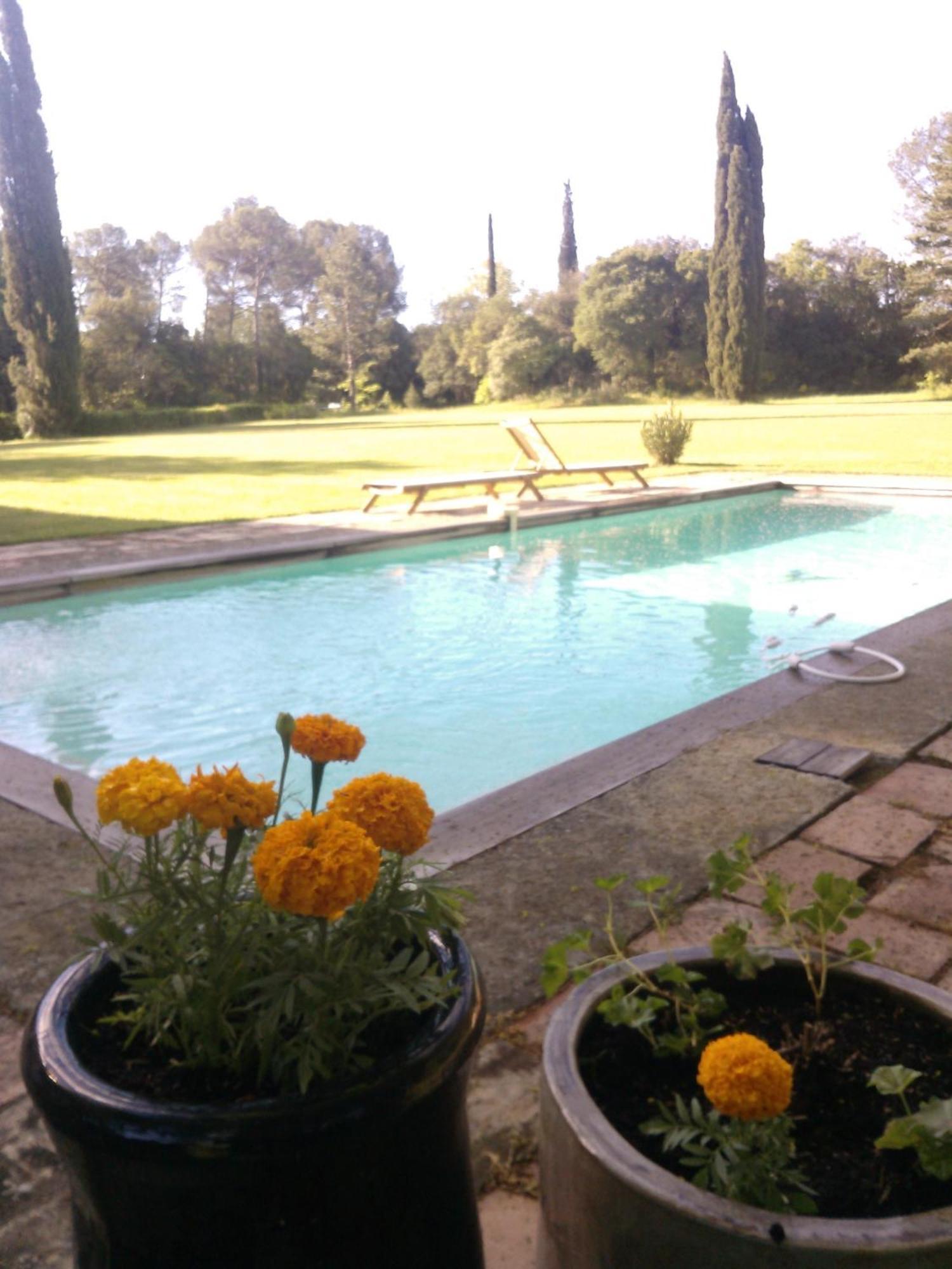 Domaine De Saint Clement Bed and Breakfast Prades-le-Lez Zewnętrze zdjęcie